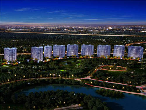 新粤西楼卤味纸包鸡