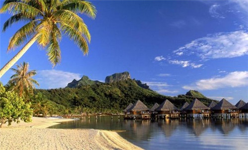 king’sblue钴蓝甜品