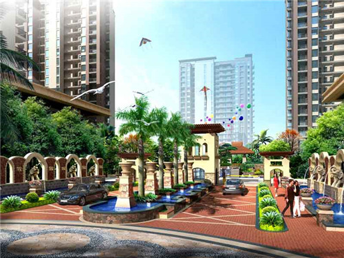 老家头排骨米饭