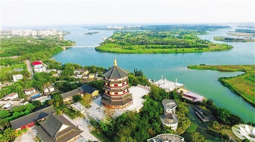 百变战鸡、炸鸡