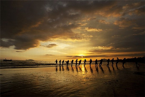 一只酸奶牛饮品