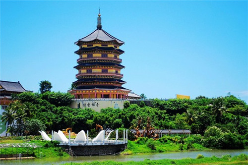 城市爱情炒酸奶