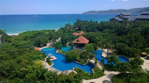 布丁奶茶加盟费多少