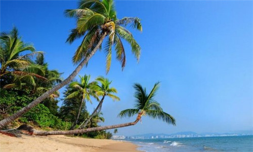 鱼火锅加盟店10大品牌是哪些，开了家炎记木桶鱼亏损的多吗