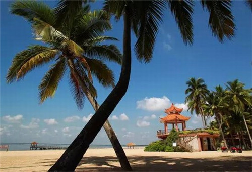 霍林郭勒市创业2025记忆棉枕芯连锁店哪家品牌还能赚钱，记忆棉枕套