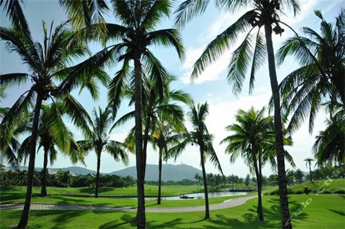 昭苏夜景哪里好玩（昭苏县周边值得看的景点）