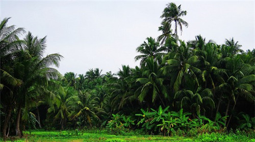 有什么长久玩的手游吗（玩的时间长的手游）