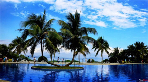 必胜客储值卡加盟店能用吗