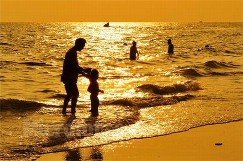 陕西家常炒豆角做法（炒豆角视频讲解）